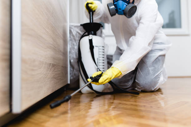 Flea Control Services in Deadwood, SD
