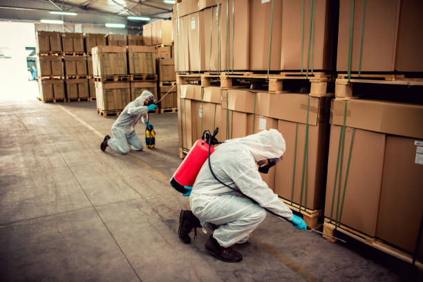Professional Pest Control in Deadwood, SD