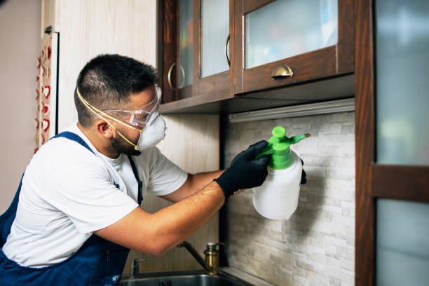 Best Best Pest Control Companies  in Deadwood, SD