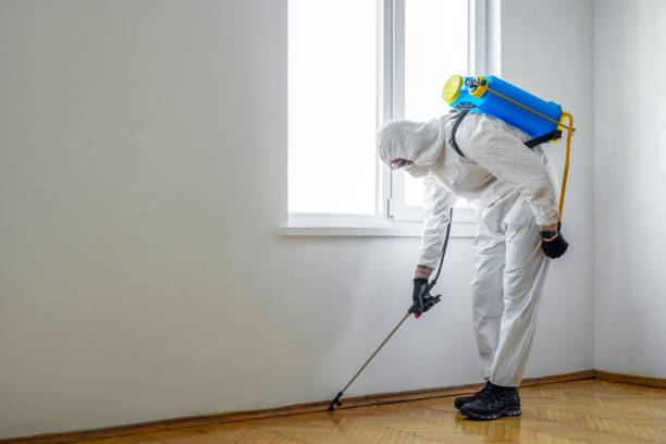 Best Bed Bug Extermination  in Deadwood, SD