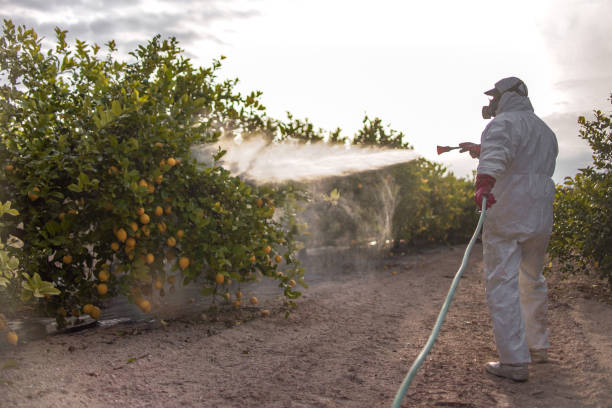 Best Affordable Pest Control Services  in Deadwood, SD